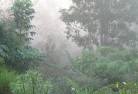 Appin VIClandscaping-irrigation-4.jpg; ?>